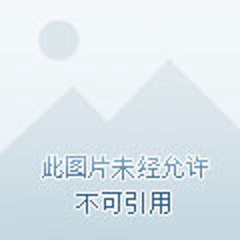 如何在九台找到合适的工作?一份详尽的求职攻略